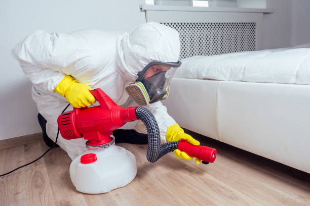 Best Bed Bug Extermination  in Vla Grove, IL